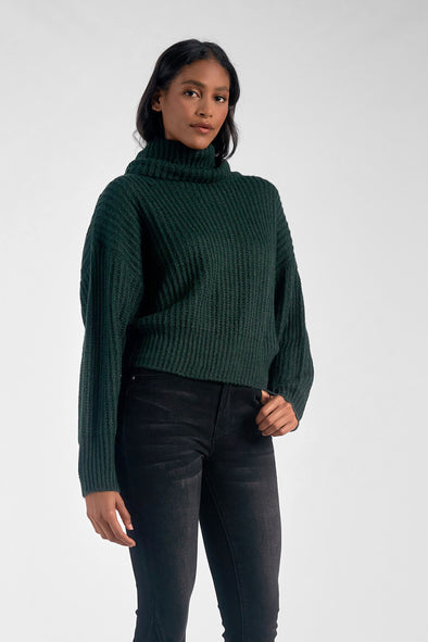The Mina Turtleneck Sweater