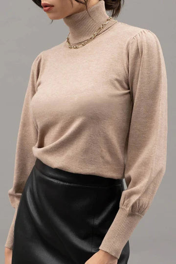 The Mari Turtleneck Sweater Top
