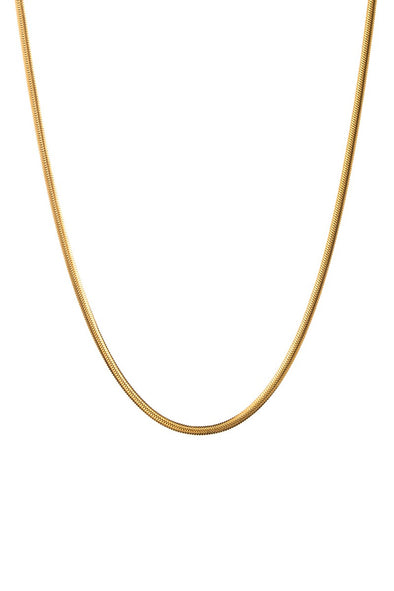 The Scarlett 18k Gold Plated Fine Snake Chain Necklace